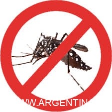 Lucha contra el Dengue: personal municipal no está autorizado a fumigar en domicilios particulares
