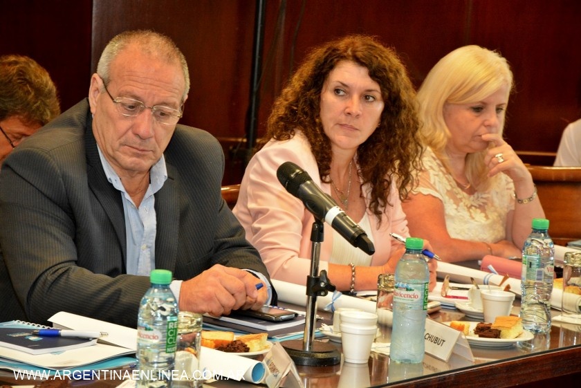 CHACO PARTICIPÓ EN LA IV REUNIÓN DEL CONSEJO FEDERAL DE SALUD EN BUENOS AIRES