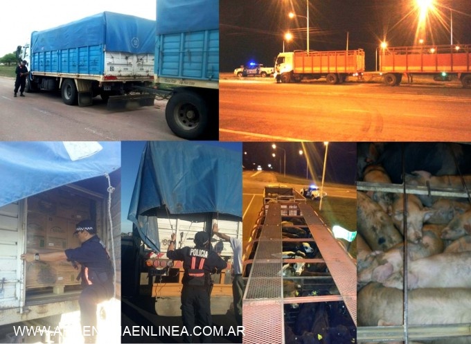 Caminera detectó varios cargamentos ilegales mediante un gran operativo de control en la provincia
