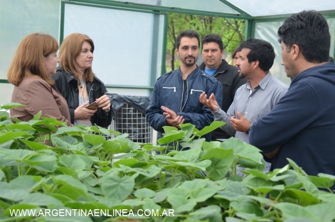 CHACO COMENZÓ CON LA OPERACIÓN DE ENVÍO DE PLANTINES A SAN LUIS