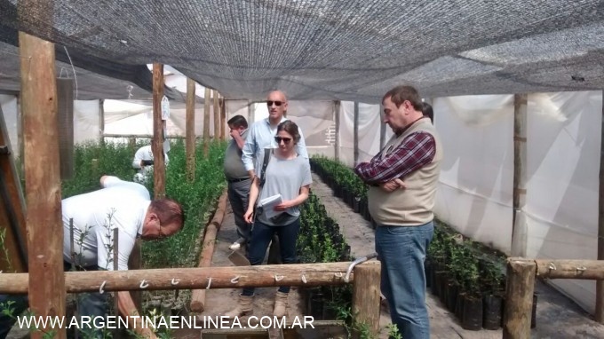 AGUAS DANONE RATIFICÓ INTERÉS DE DESARROLLAR UNA CUENCA DE POMELO ROSADO EN LA PROVINCIA