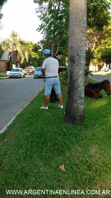 Funcionaria municipal fue agredida por carrero en la vía pública