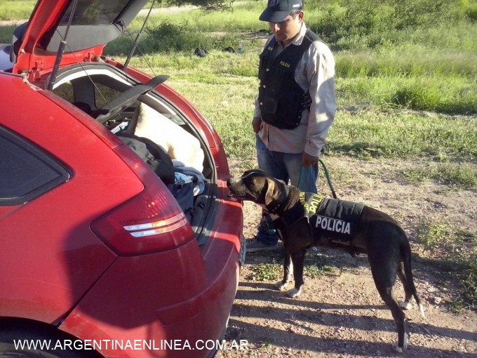CAMINERA SECUESTRO 77 RODADOS Y ESTUPEFACIENTES ILEGALES EN OPERATIVO CONJUNTO CON DROGAS PELIGROSAS